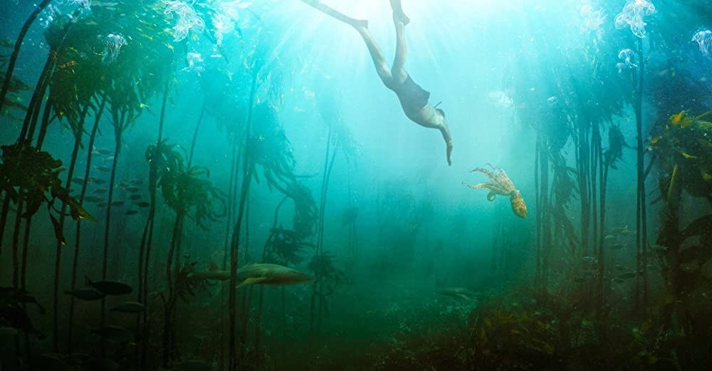 「オクトパスの神秘: 海の賢者は語る」の画像