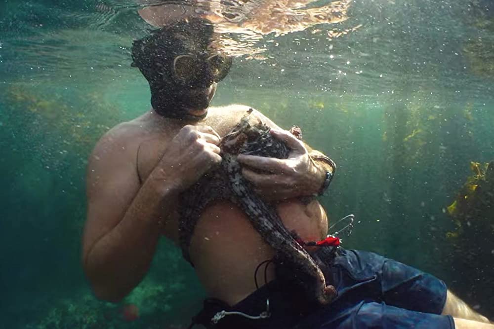 「オクトパスの神秘: 海の賢者は語る」の画像