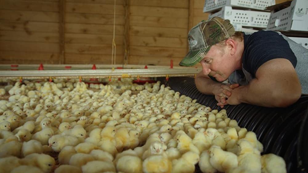 スーパーサイズ・ミー: ホーリーチキン !の画像