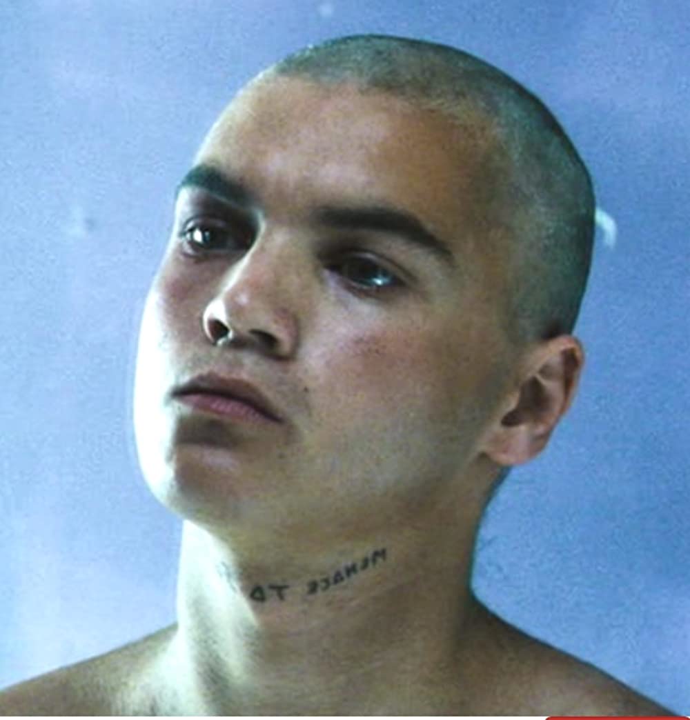 ロード・オブ・ドッグタウンの画像