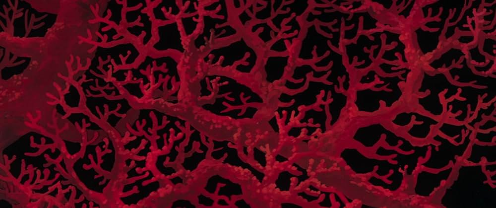 アンデルセン童話 にんぎょ姫の画像