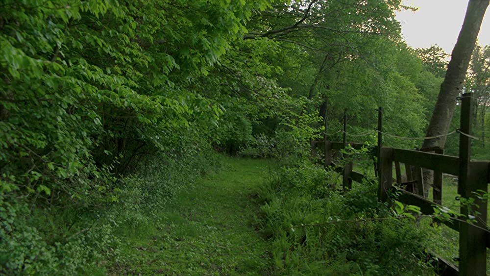 アフター・ヤンの画像