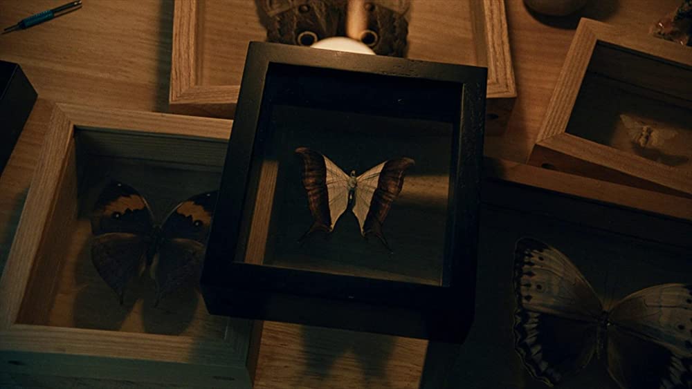 アフター・ヤンの画像