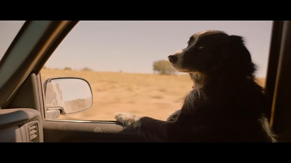 マークスマンの画像