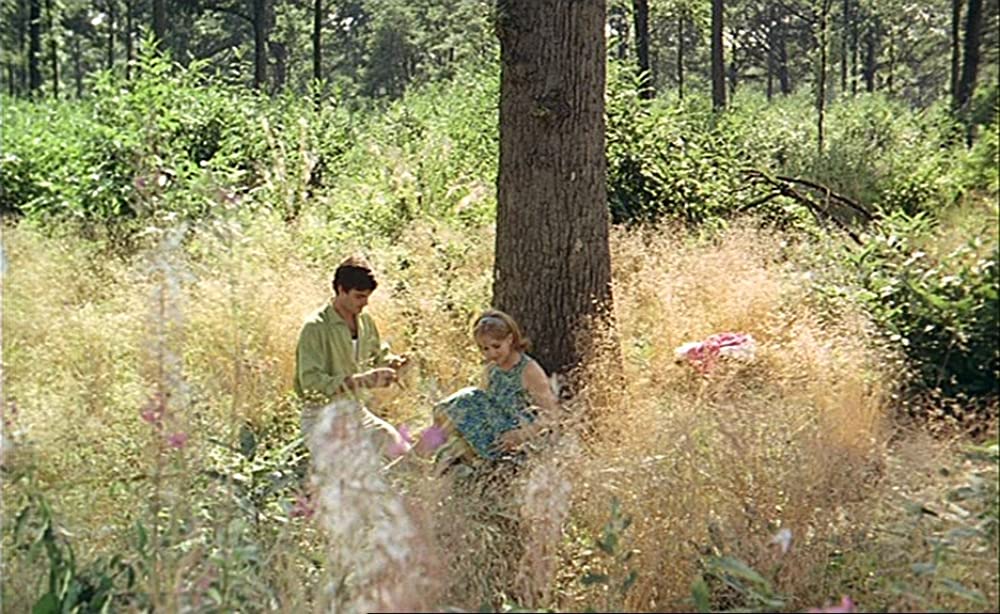 幸福（しあわせ）の画像