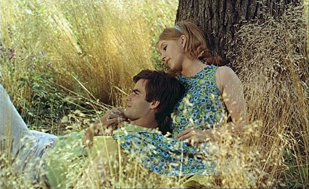 幸福（しあわせ）の画像