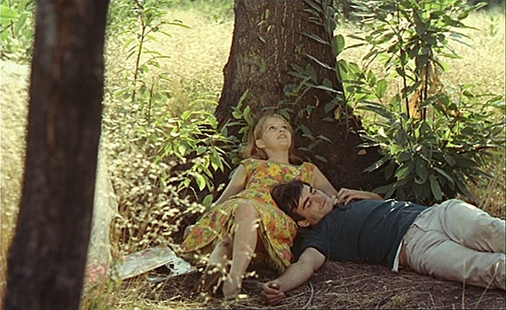 幸福（しあわせ）の画像