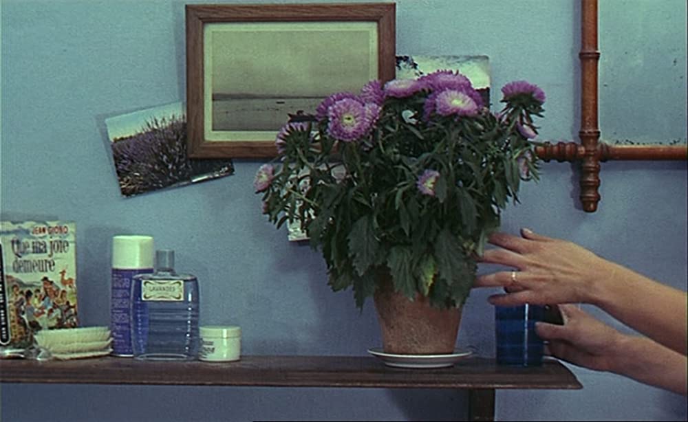 幸福（しあわせ）の画像