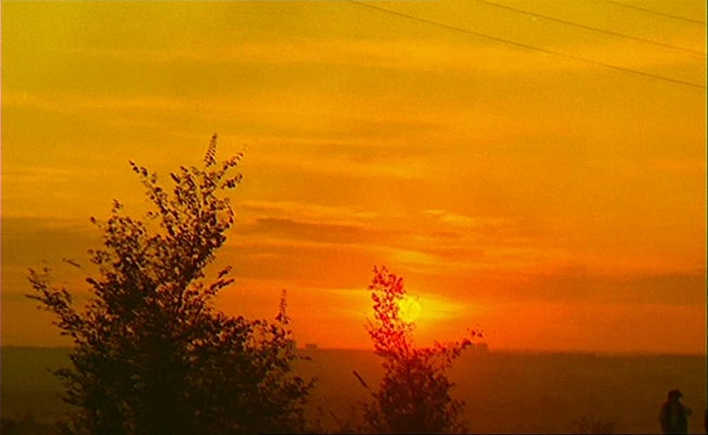 幸福（しあわせ）の画像