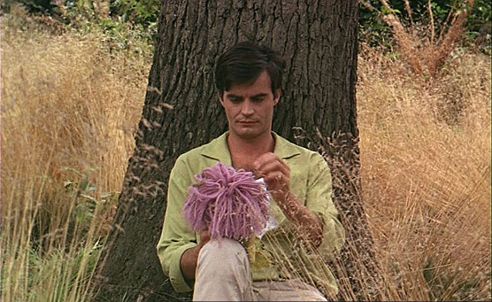 幸福（しあわせ）の画像