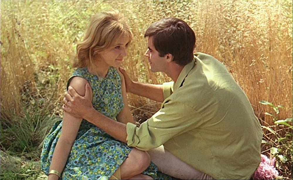 幸福（しあわせ）の画像