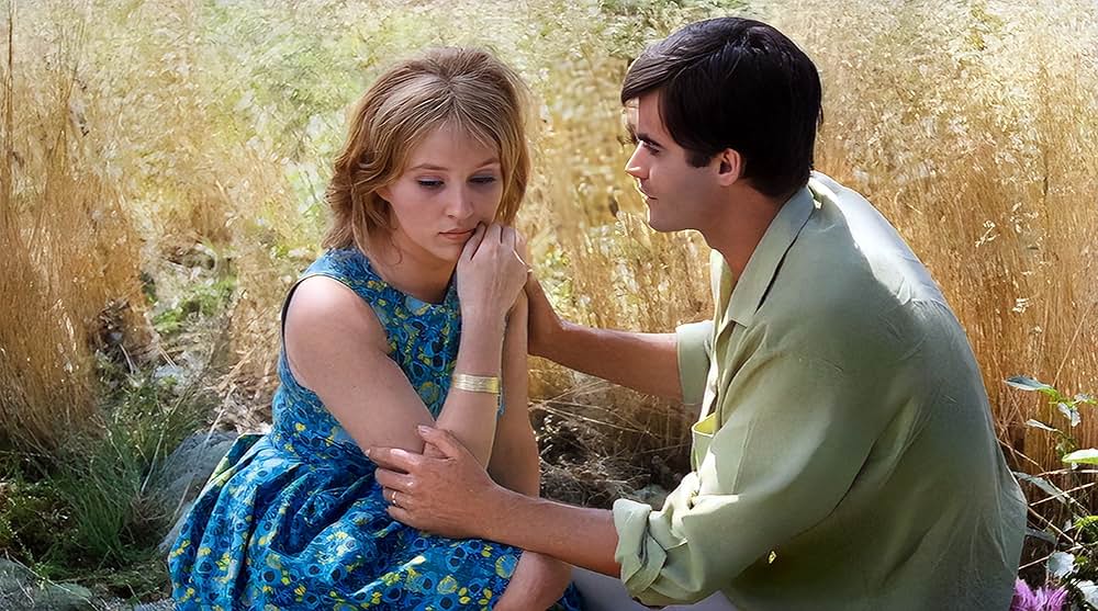 幸福（しあわせ）の画像