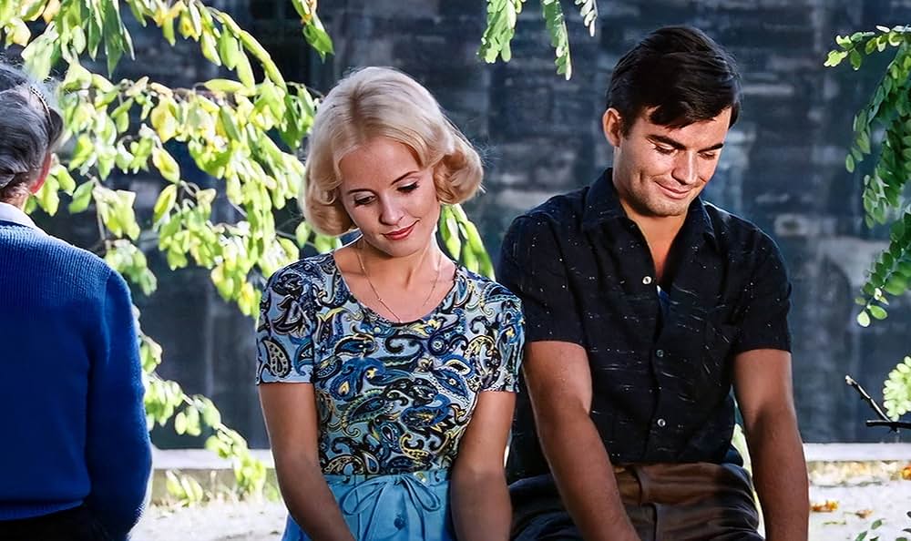 幸福（しあわせ）の画像