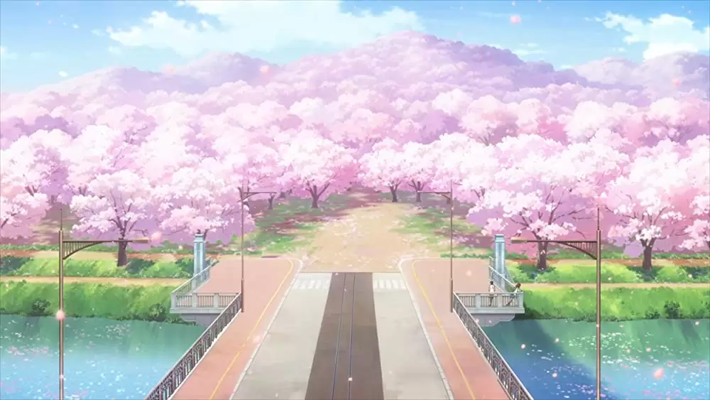 君の膵臓をたべたいの画像