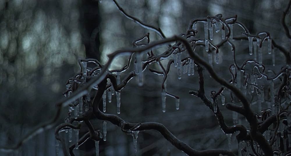 アイス・ストームの画像