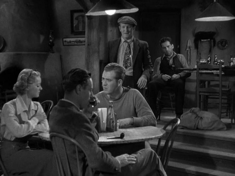 化石の森の画像