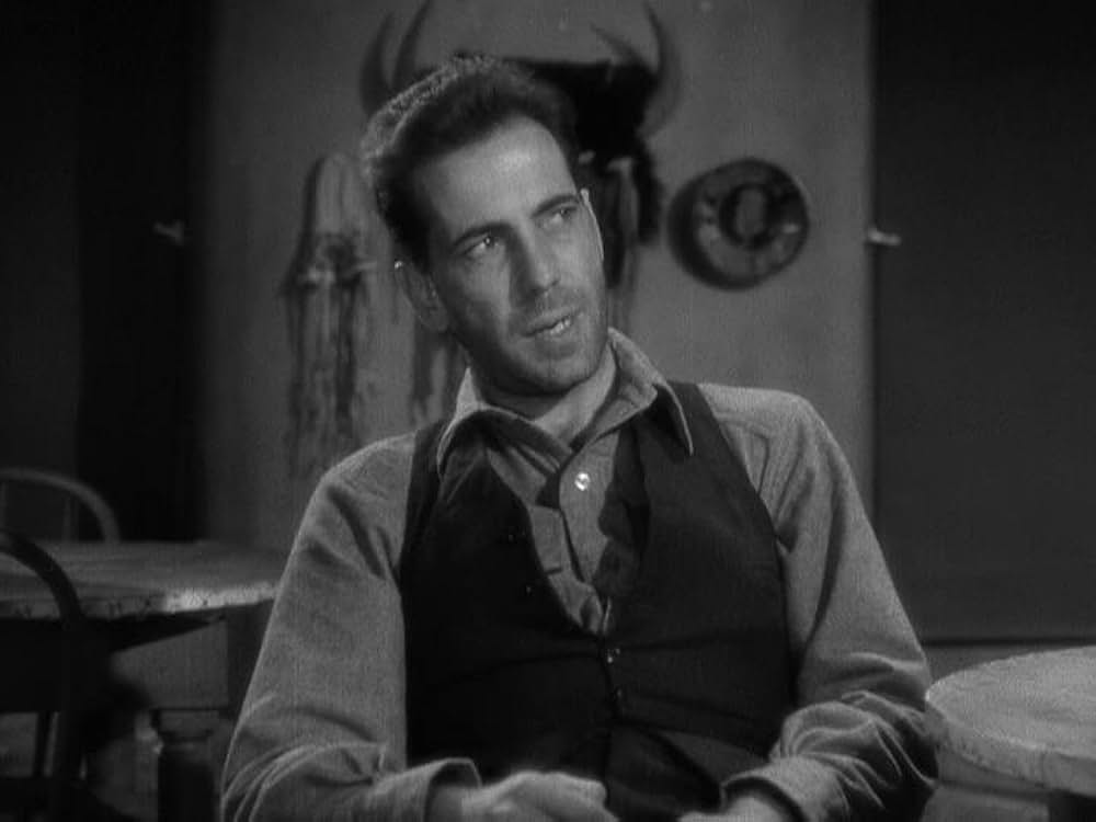 化石の森の画像