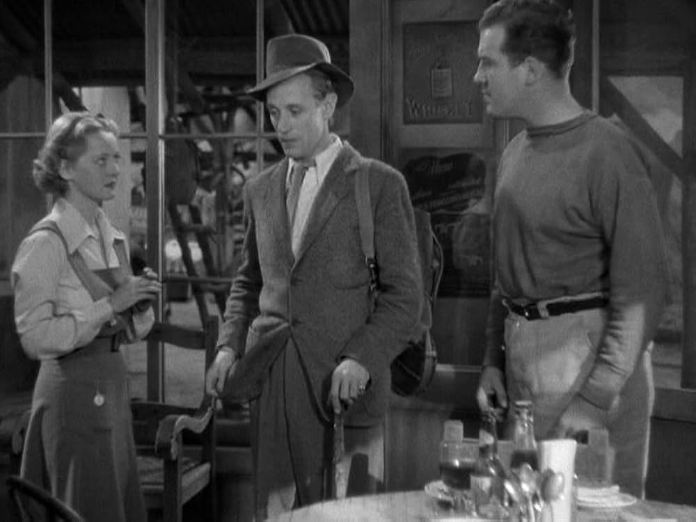 化石の森の画像