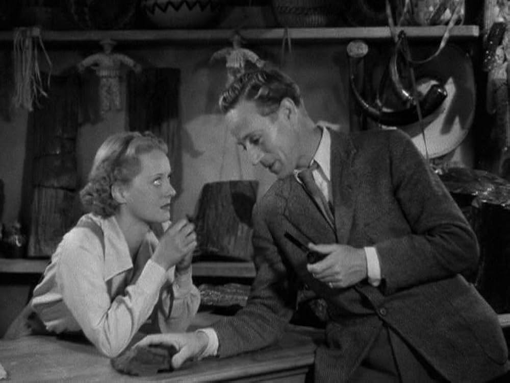 化石の森の画像