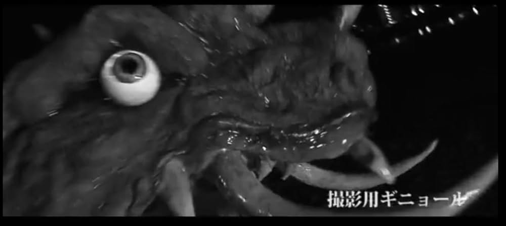 ネズラ 1964の画像