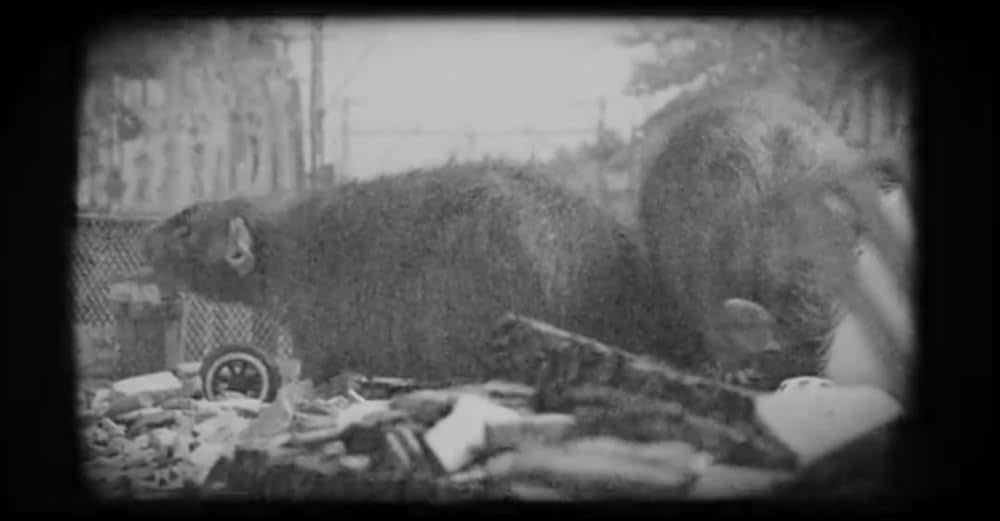 ネズラ 1964の画像