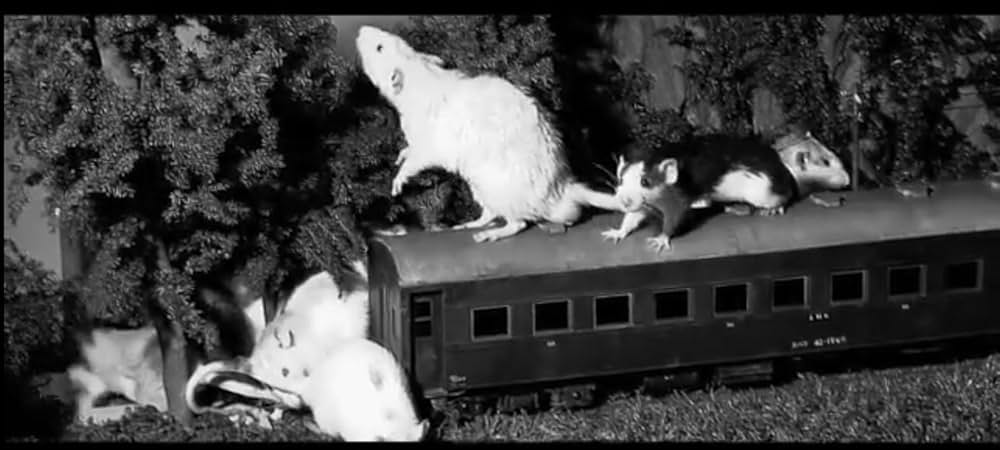 ネズラ 1964の画像