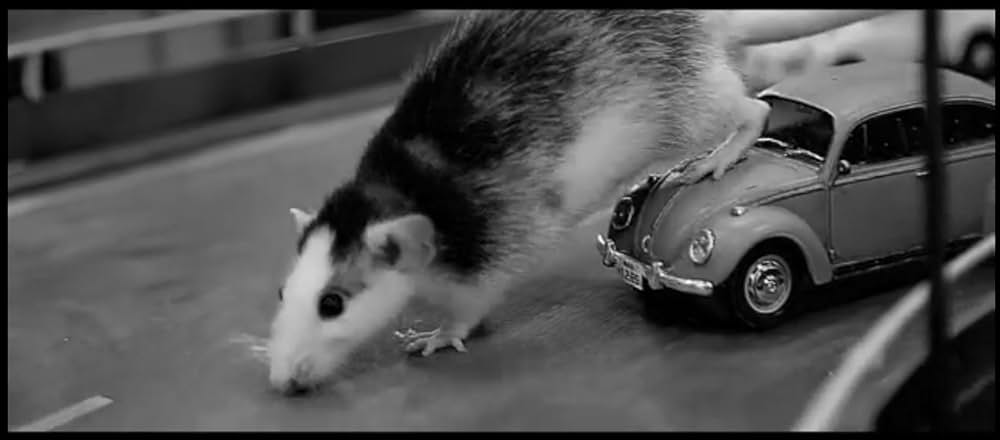 ネズラ 1964の画像