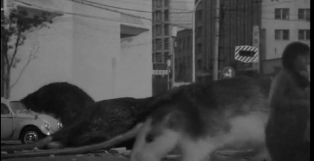 ネズラ 1964の画像