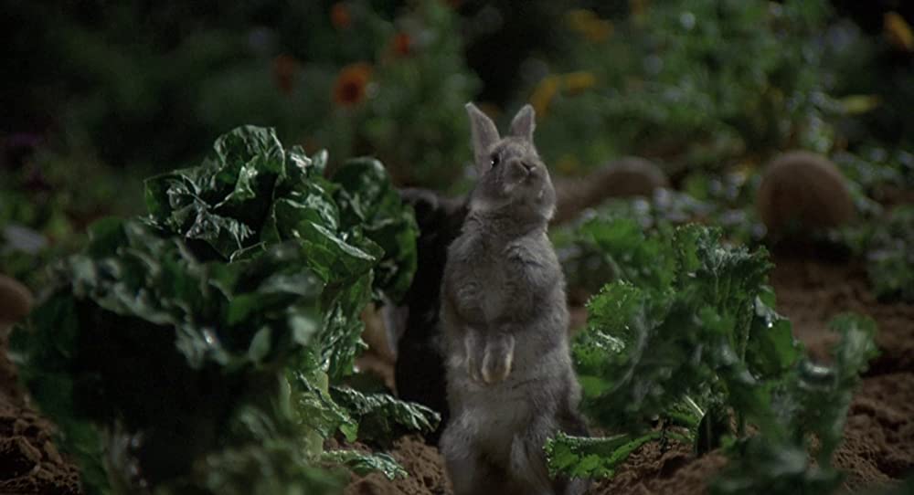 サイレント・ランニングの画像