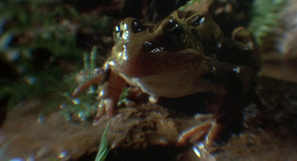 サイレント・ランニングの画像