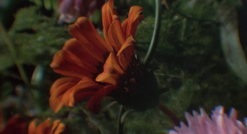 サイレント・ランニングの画像