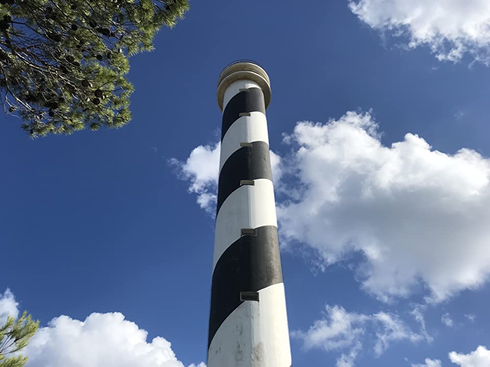 太陽と踊らせての画像