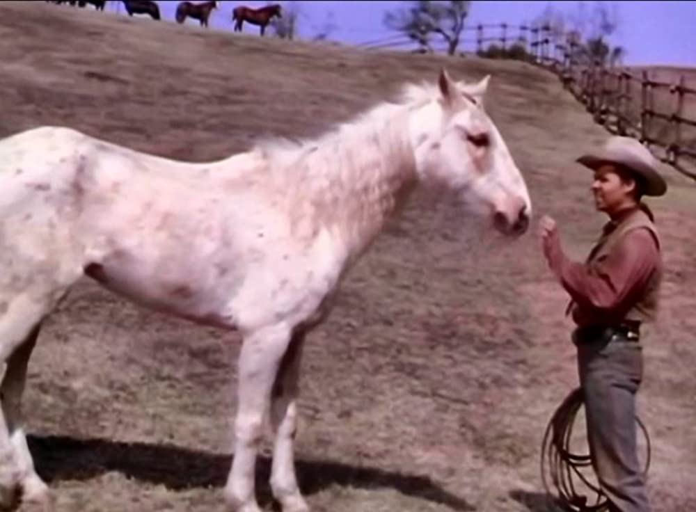 「早射ち無宿」オーディ・マーフィ & ロリ・ネルソンの画像