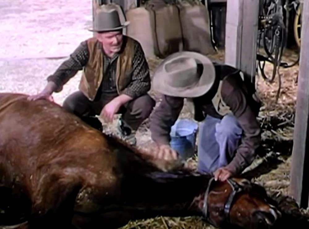 「早射ち無宿」オーディ・マーフィ & ロリ・ネルソン & ロイ・ロバーツの画像