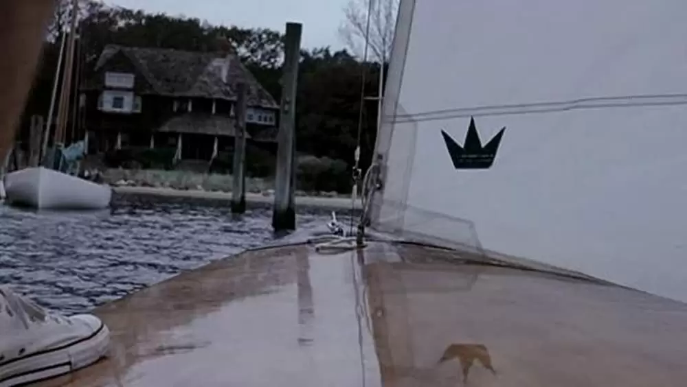 ファニーゲーム U.S.A.の画像