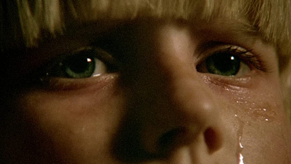 「ザ・ブルード／怒りのメタファー」Cindy Hindsの画像