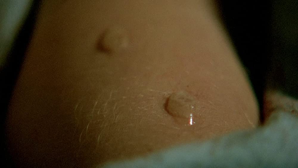 「ザ・ブルード／怒りのメタファー」Cindy Hindsの画像