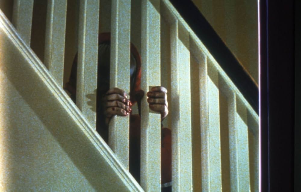 ザ・ブルード／怒りのメタファーの画像