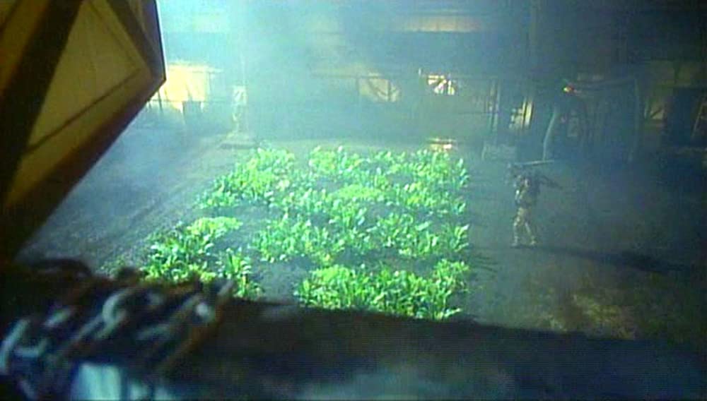 ガンヘッドの画像