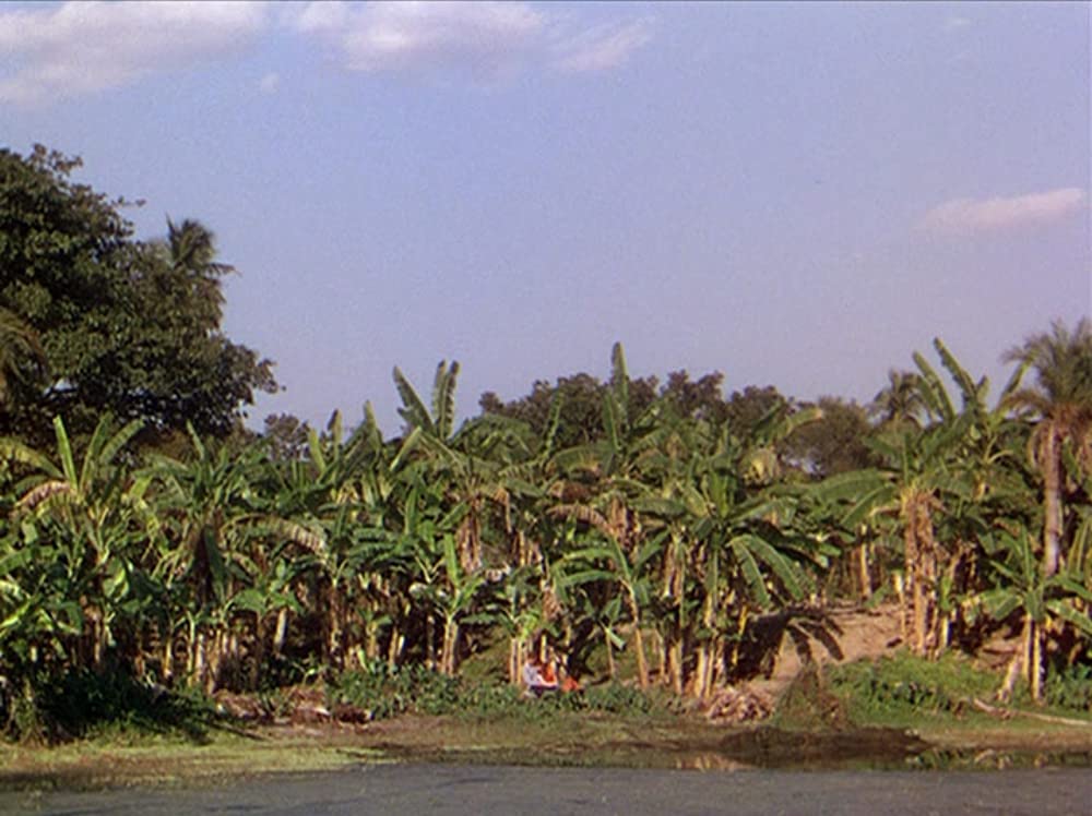 河（1951）の画像