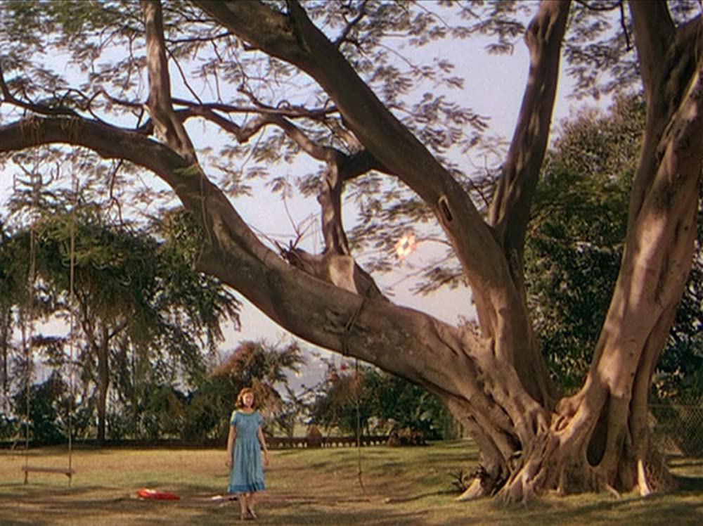 河（1951）の画像