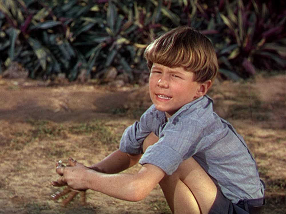 河（1951）の画像