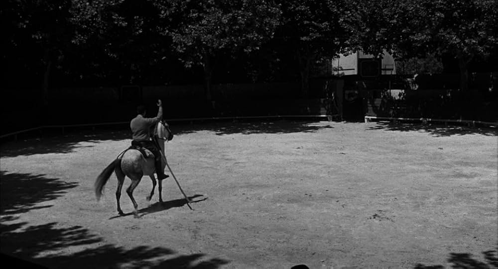 日曜日には鼠を殺せの画像