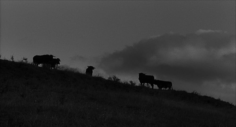 日曜日には鼠を殺せの画像