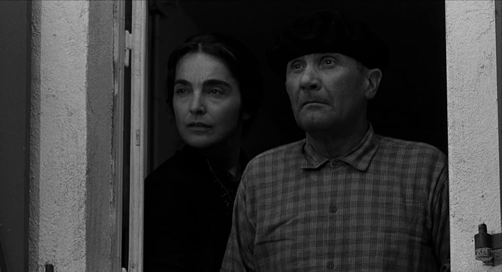 日曜日には鼠を殺せの画像