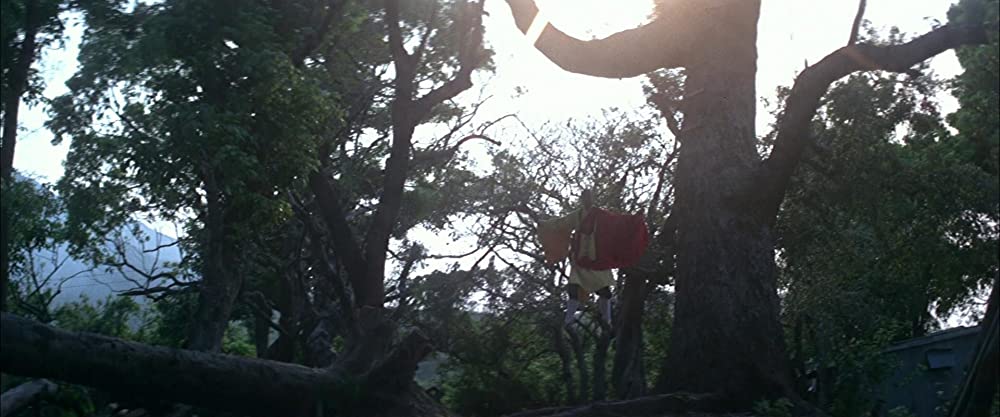 続・少林寺三十六房の画像