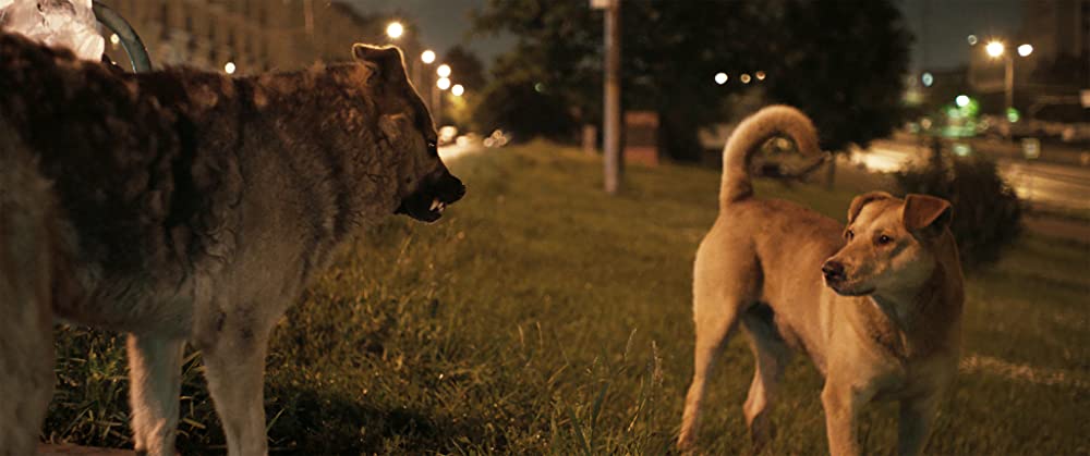 犬は歌わないの画像