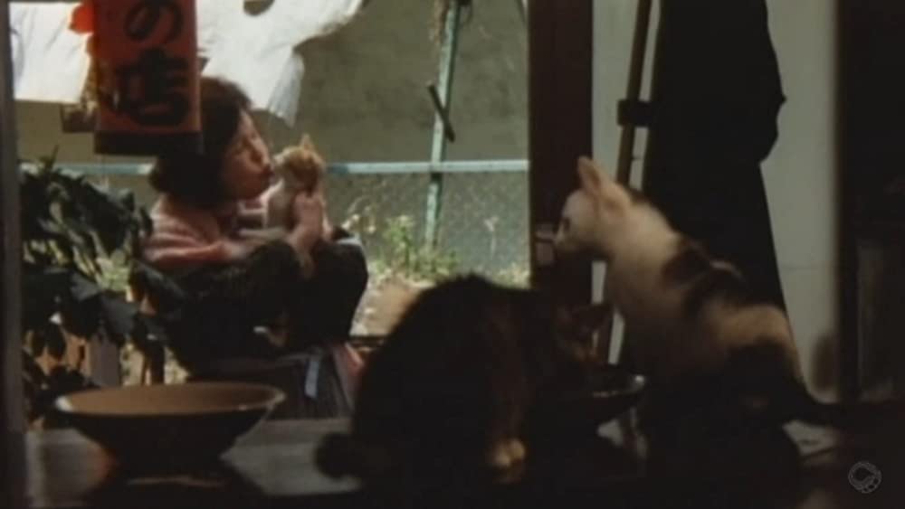 「十九歳の地図」の画像