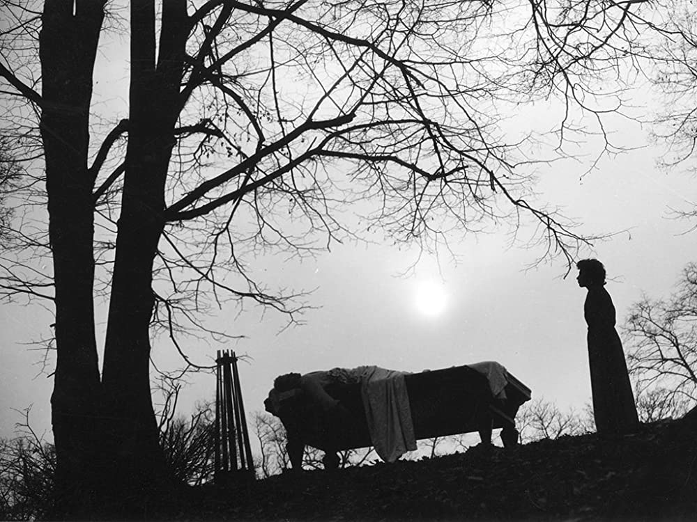 恐るべき子供たちの画像