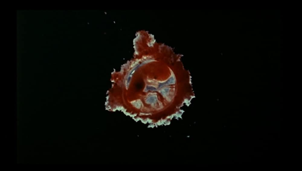 「悪魔のシスター」の画像